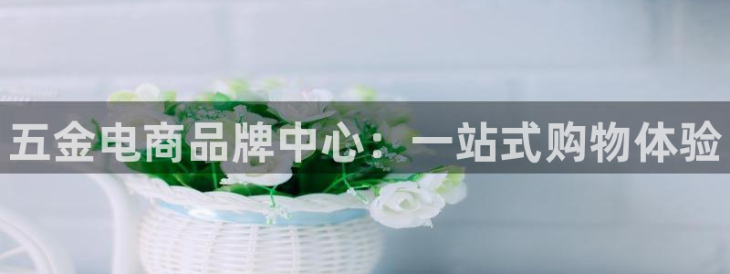 琳琅娱乐a