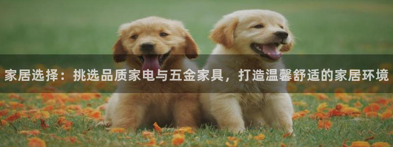 琳琅娱乐招商注册
