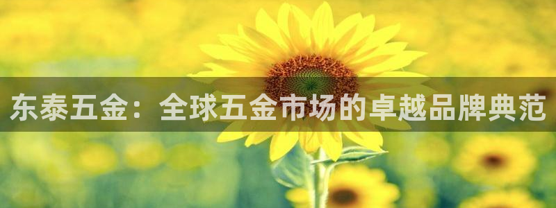 琳琅娱乐在哪直播的
