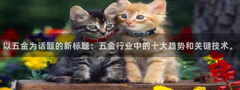 琳琅娱乐代理怎么做的