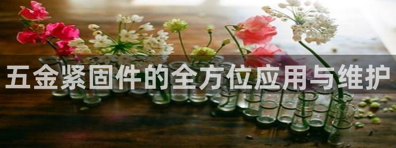 琳琅娱乐社区600