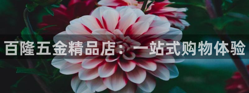 琳琅娱乐在哪直播的