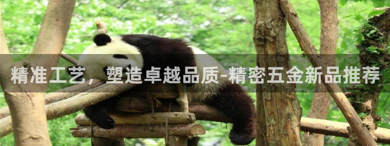 琳琅娱乐八卦