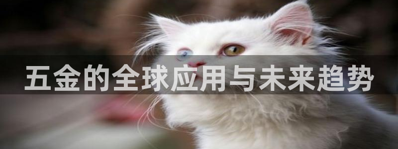 琳琅偏爱娱乐