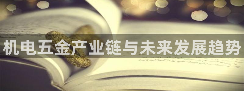 娱乐从琳琅榜开始的小说