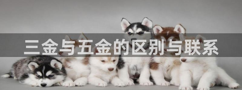 琳琅娱乐社区宅男