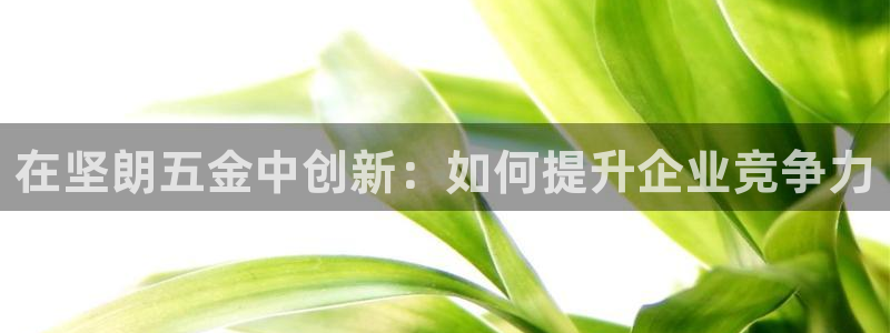 琳琅娱乐工作室怎么样