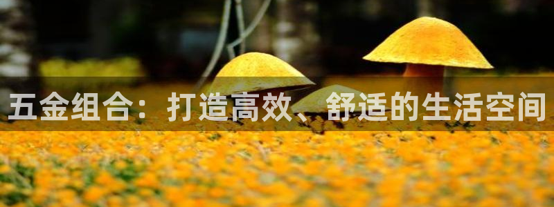 琳琅科技qq娱乐机器人