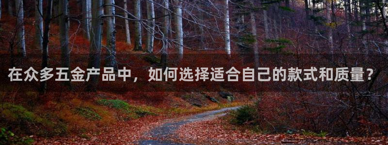 琳琅娱乐机器人