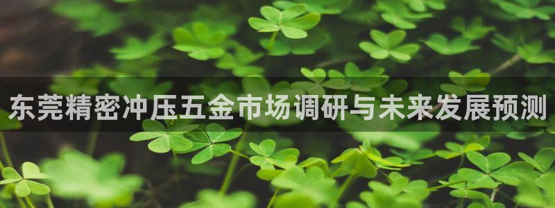 琳琅科技qq娱乐机器人