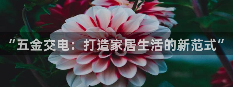 琳琅偏爱娱乐