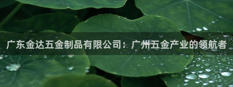 琳琅娱乐在线观看