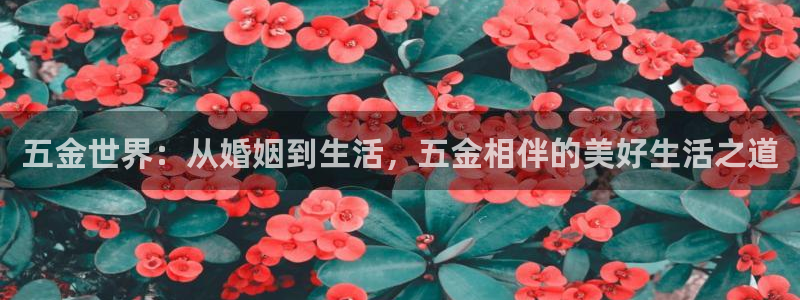 琳琅娱乐前7O777
