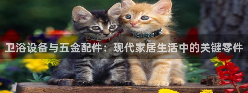 琳琅娱乐工作室怎么样