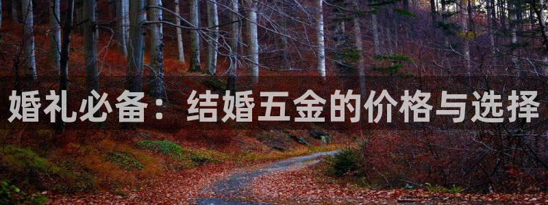 琳琅娱乐足球