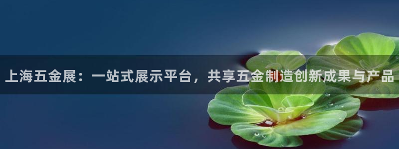 琳琅娱乐组飞车