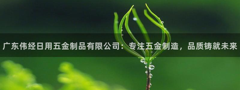 琳琅聊娱乐