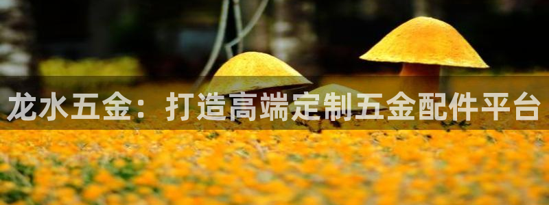 琳琅满目的娱乐设施