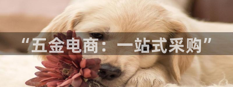 琳琅娱乐平台帐7O777