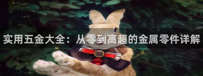 琳琅娱乐工作室怎么样啊