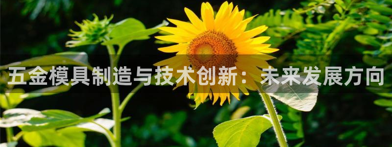 琳琅娱乐除7O777