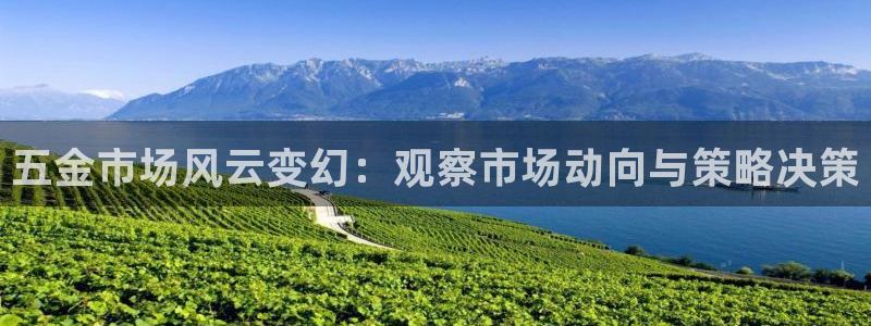 琳琅作者娱乐圈女主