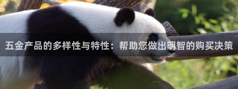 琳琅娱乐在哪直播
