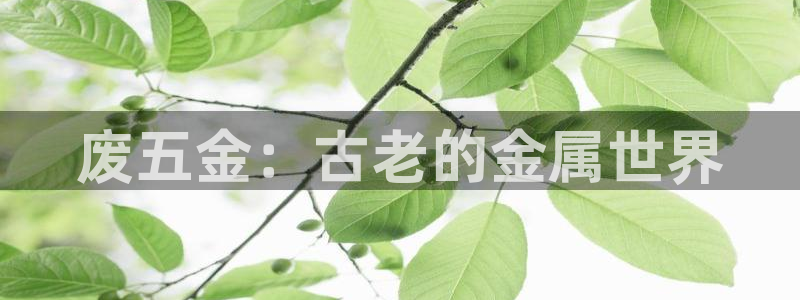 琳琅作者娱乐圈女主