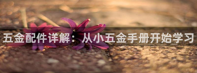 琳琅聊娱乐