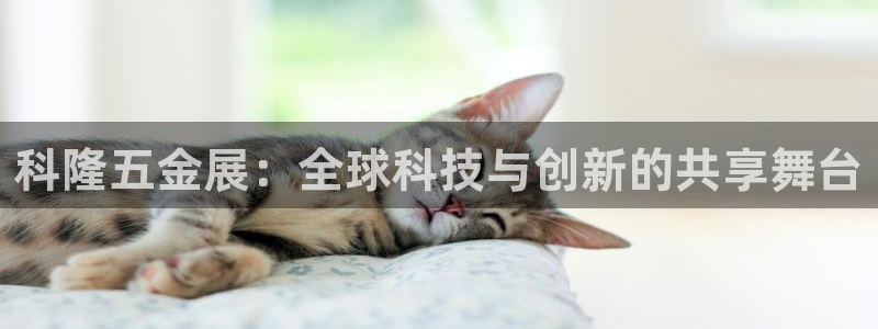 琳琅科技娱乐机器人下载