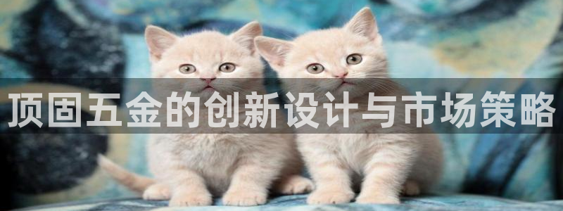 琳琅社区综艺文化娱乐