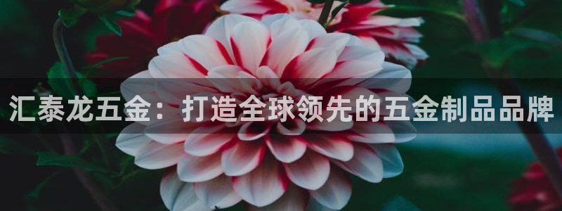 琳琅国际娱乐会所电话