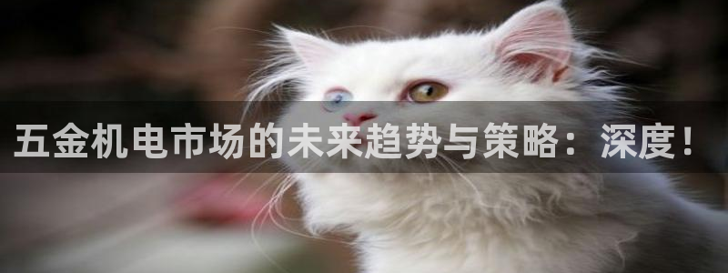 琳琅科技qq娱乐机器人