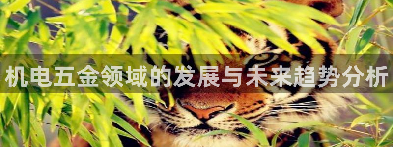 梧州琳琅娱乐城
