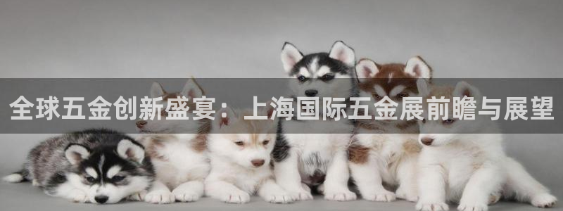 琳琅娱乐开户