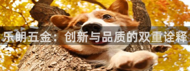 琳琅娱乐平台怎么样啊