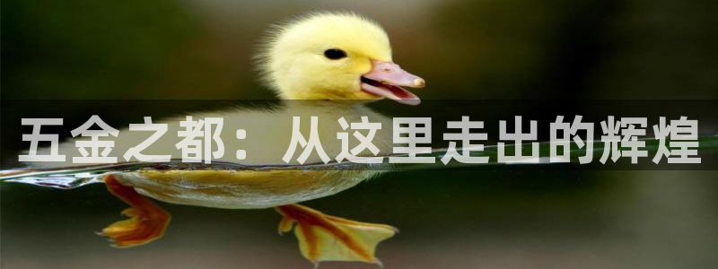 琳琅AV娱乐