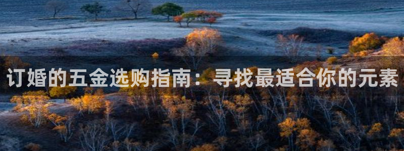 琳琅娱乐代理怎么做