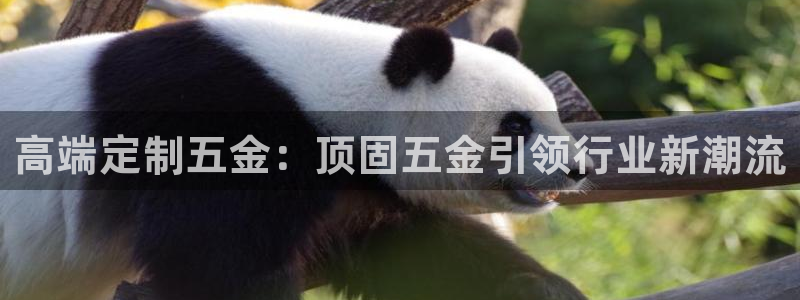 琳琅科技娱乐qq机器人词库