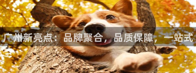 琳琅娱乐怎么样