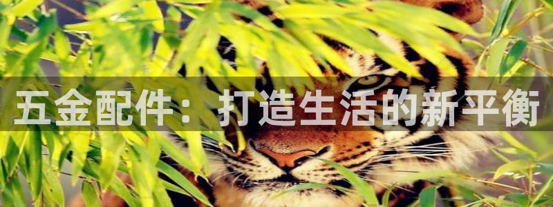 琳琅科技娱乐qq机器人词库