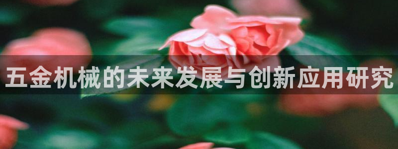 琳琅社区综艺文化娱乐