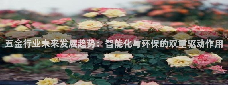 琳琅娱乐代理