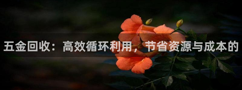 琳琅娱乐代理怎么做的