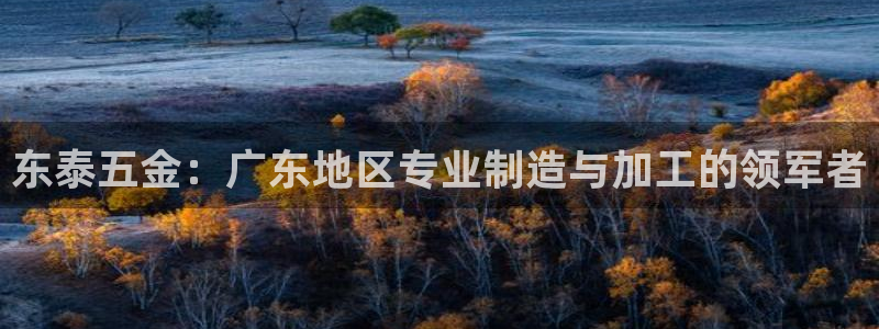 琳琅娱乐社区