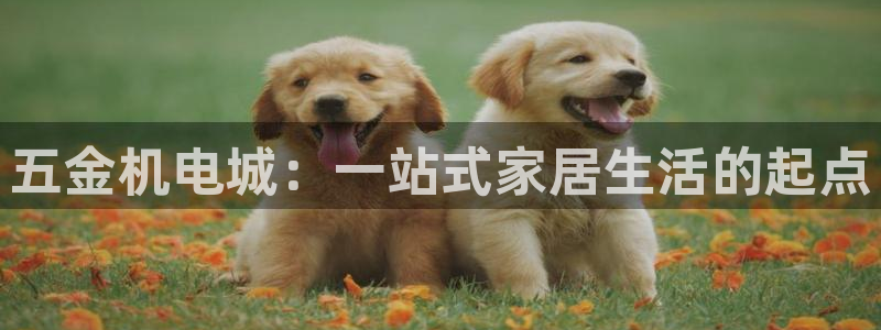 琳琅国际娱乐会所电话