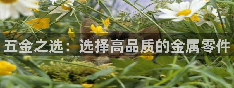 琳琅娱乐代理21192