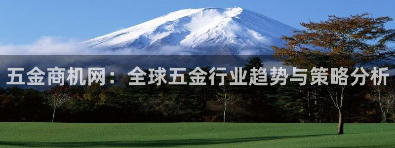 娱乐从琳琅榜开始的小说