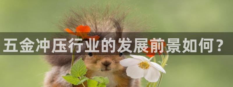 琳琅娱乐登入官网