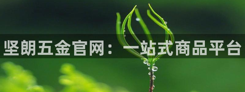 琳琅娱乐工作室怎么样